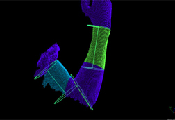 関節の曲がり状態 2