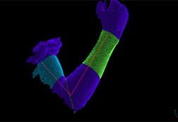 関節の曲がり状態 3