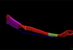 関節の曲がり状態 5