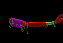 関節の曲がり状態 6
