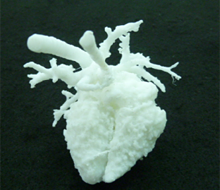 心臓の画像データからSTL変換し、モデルを作成する