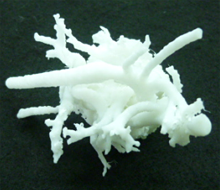 心臓の画像データからSTL変換し、モデルを作成する