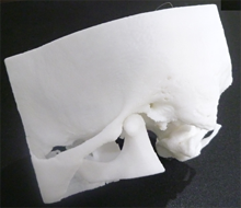 側頭骨の造形モデル