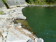 沈下した護岸ブロック