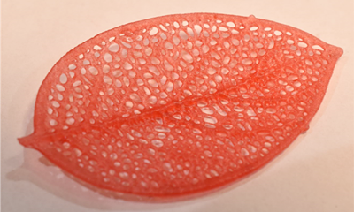 ブローチ（葉）　32x20x1mm